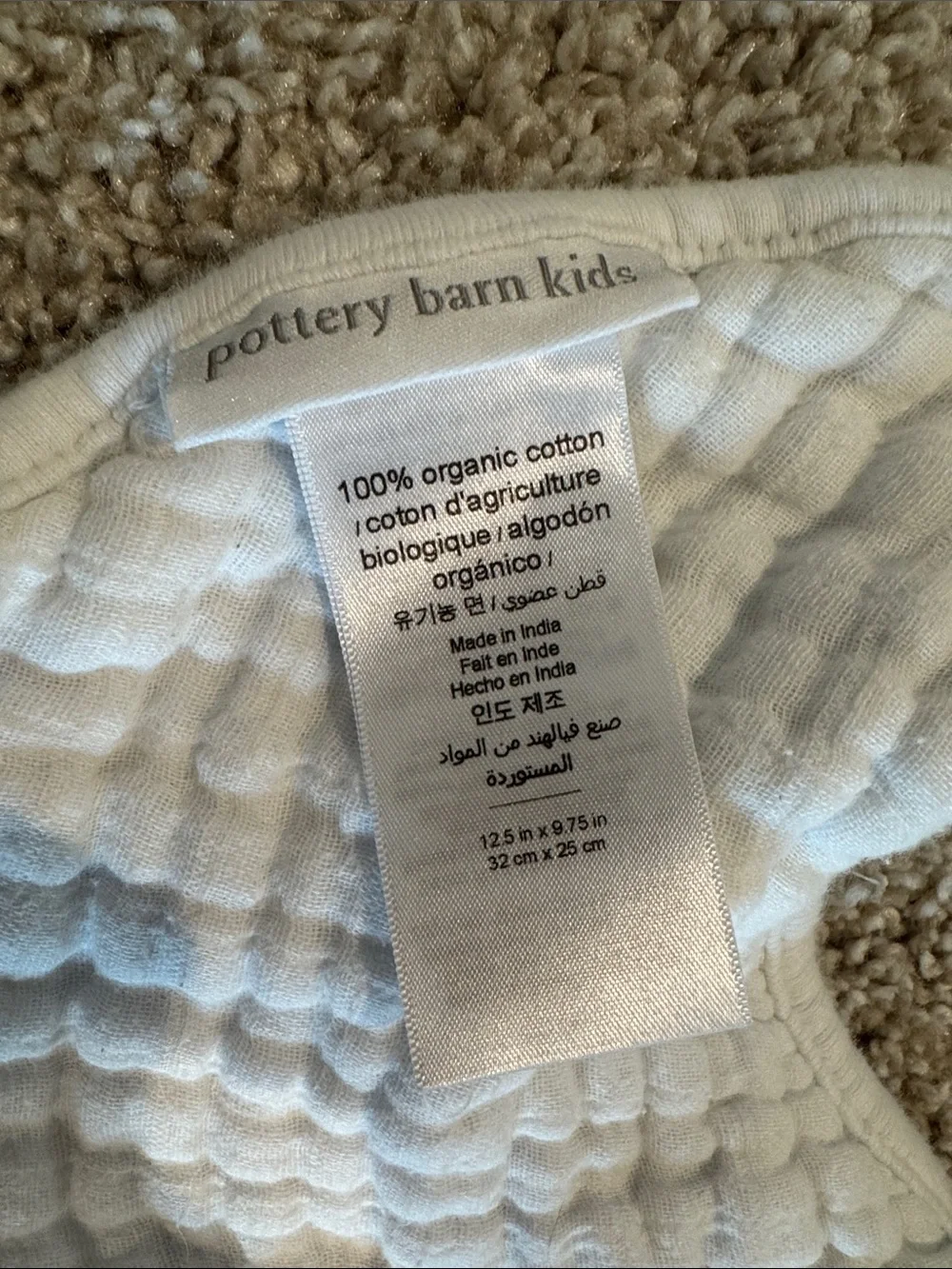 Pottery Barn Kids Organic Jack Muslin Drool Bib Set of 3